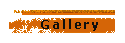 Arttist's Gallery