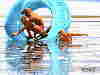 swim2