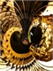 cameringo_20151220_182008