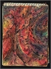 231