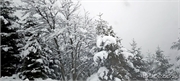 snow