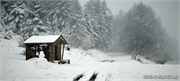 snow_14
