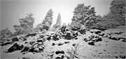 snow_24