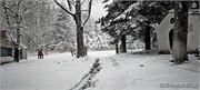 snow_6