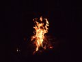 DSCF4821