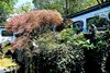 20180422_171849