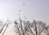 AKI_3178