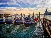 VENICE21