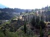 DSCF3644
