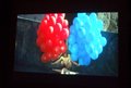 DSCF6443