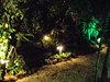 DSCF6874