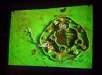 DSCF6208