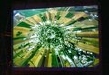 DSCF6221