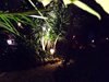 DSCF0644
